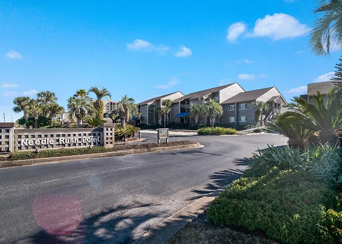 Needle Rush Point Unit F23 Pensacola